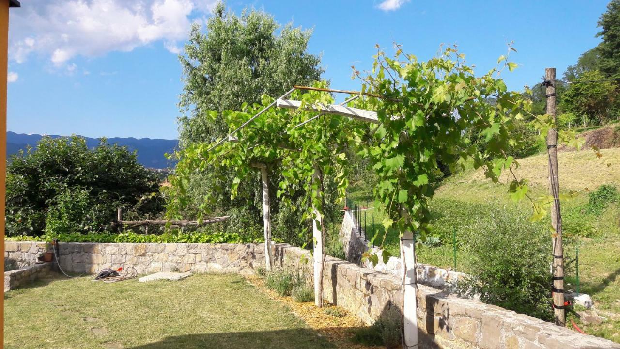 Pocitniska Hisa Guest House Dobravlje ภายนอก รูปภาพ